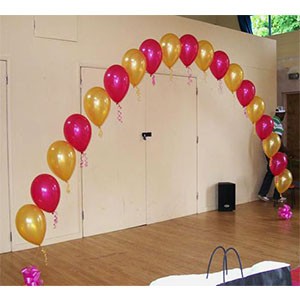 My Custom Balloons  String of Pearl Balloon Arch with 20 balloons