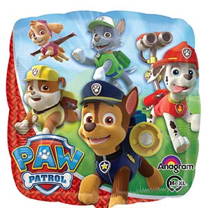 18in paw patrol Balloon Delivery