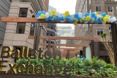 Organic-Garland-On-Grid