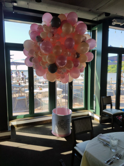 Organic-Hot-Air-Balloon